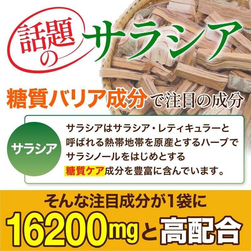 santelife サラシア16200 サラシア イヌリン 難消化デキストリン 桑の葉 ウコン 菊芋 乳酸菌 ナットウキナーゼ