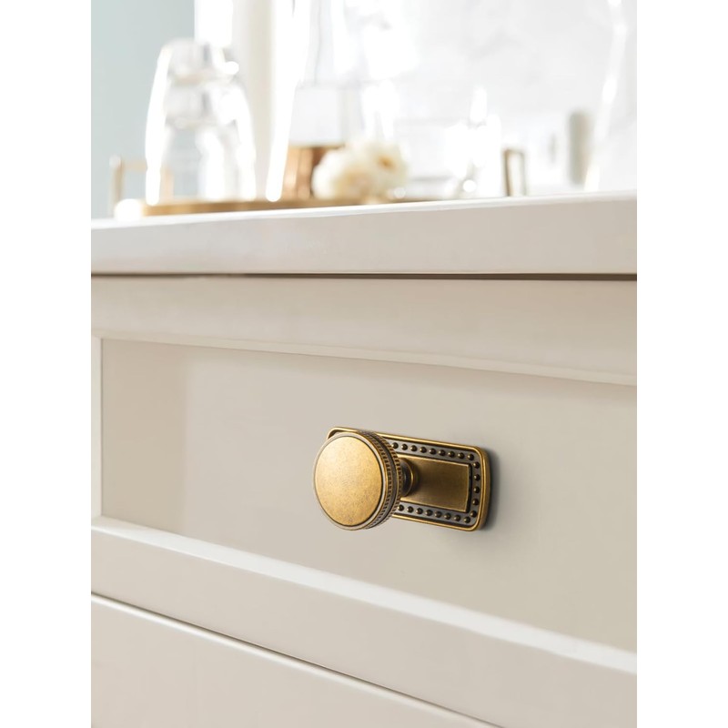 Goo-Ki Cabinet Knobs with Base Plate/Backplate Zinc Alloy Hardware for