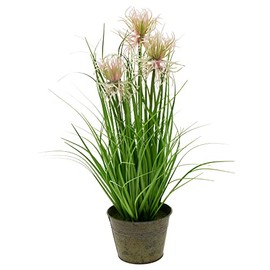 Boston International Artificial Ornamental Grass Home Décor Faux Indoor House Plant, Small, Pink Sea Urchin