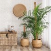 1pcs Bendable Moss Pole for Plants Monstera120mm, Handmade Coco Coir