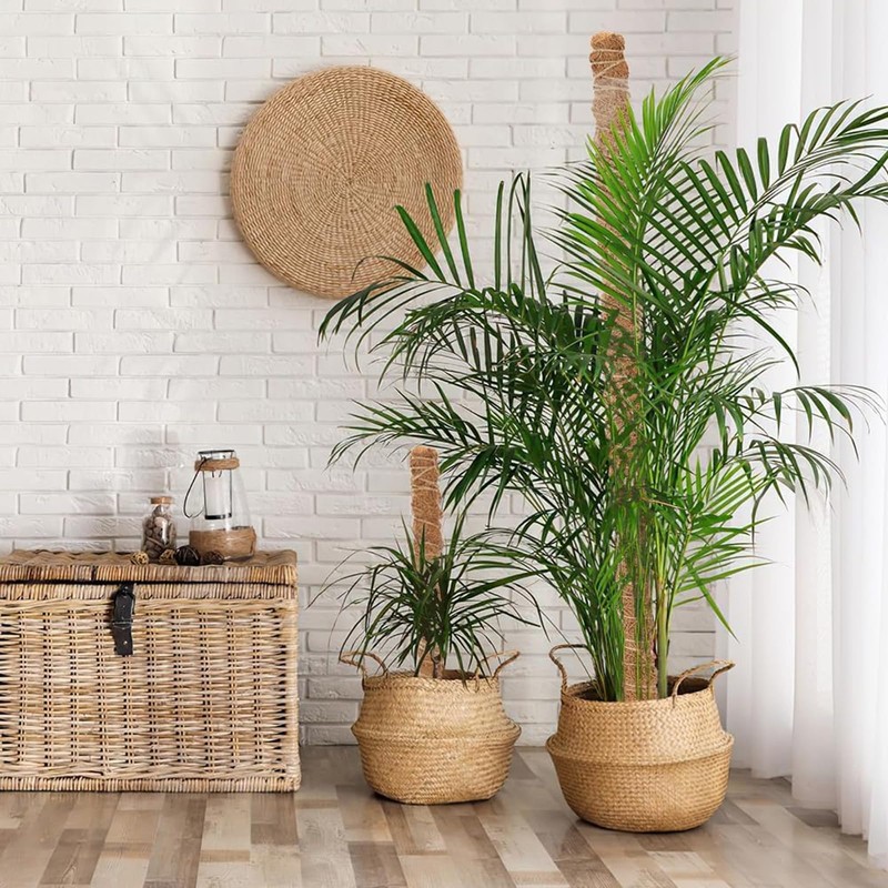 1pcs Bendable Moss Pole for Plants Monstera120mm, Handmade Coco Coir