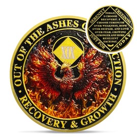 Delicate Phoenix 19 Year Na Medallions - Reborn from Fire Sobriety Coin - 19 Years Recovery Addiction Token - Celebrate Clean and Sober Chip - 1-20 Prime Narcotics Anonymous Gifts for Men Women