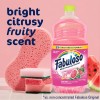 Fabuloso Multi-purpose Cleaner, 2x Concentrated Formula, Watermelon Scent, 56 Oz