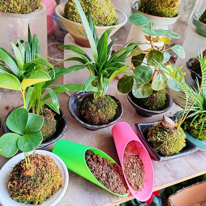 Potting Soil Scoop for Indoor Plants, Garden Tiny Plant Shovel