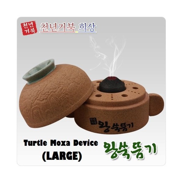 Turtle Moxa Device (Large) - English Manual Included