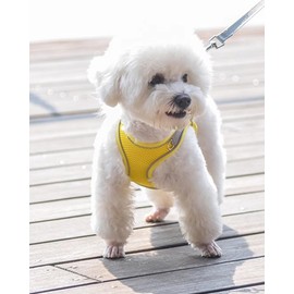 Solmoony Dog Harness for Small Medium Dogs,Easy to Put on Soft Mesh Dog Harness and Leash Set for Kitten and Puppy，Step in Adjustable Dog Harness with Padded Vest (S, Yellow)