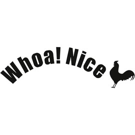 Whoa Nice Toilet Sticker Decal, Waterproof Vinyl Wall Art Sign Decor, Removable Toilet Seat Quote Murals for WC Restroom Door Seat Decoration Bathroom Accessories,Bathroom Stickers