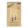 Feit Electric 40-Watt T8 Dimmable Incandescent Amber Vintage Edison Light