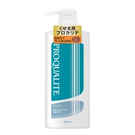 Procarite Straight Makeup Shampoo, Large, 20.3 fl oz (600 ml)