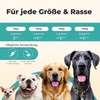 Probiotic Powder for Dogs - Paselo® Intestinal Flora+ Supports Digestion