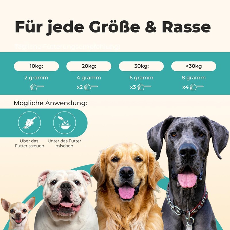 Probiotic Powder for Dogs - Paselo® Intestinal Flora+ Supports Digestion