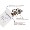 iTeaworld China Flower Tea Series, 10 Different Tea Variety Pack(Jasmine