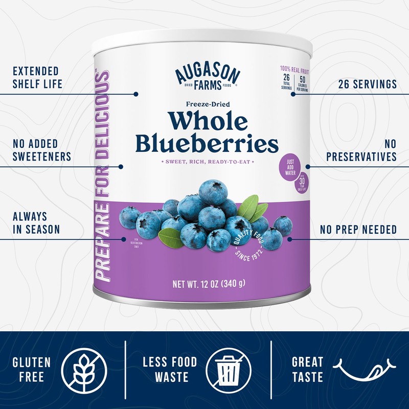 Augason Farms Dried Whole Blueberries Can – Dried Fruit for