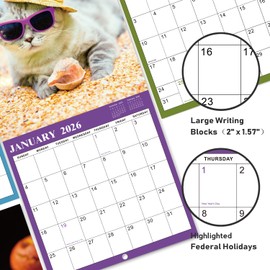 2026 Calendar - Wall Calendar 2026, Jan. 2026 - Dec. 2026, 12" x 24" 2026 Wall Calendar (open), Calendars with Unruled Blocks, Thick Paper - Cutie Cat