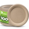 100% Compostable Paper Plates Heavy Duty - 100 Pack Biodegradable