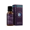 Mystic Moments | Rose Bulgarian Absolute Oil Dilution | 10ml