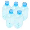 ORFOFE 5pcs Small Liquid Bottles Portable Multi Function Eyecare Dropping