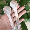 Pearl MOP Handmade Caviar Spoon W Round Handle for Caviar