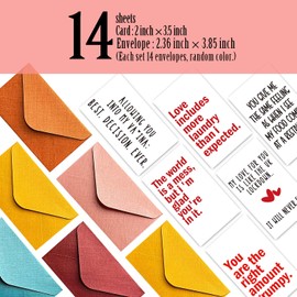Funny Mini Anniversary Cards Love Notes Cards with Envelopes, for Valentines Day Husband Wife Him Her Boyfriend Girlfriend, Lunch Box Notes Card 14 Pcs - FS233