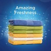 Persil ProClean Liquid Laundry Detergent, Odor Fighter, 100 Fl. Oz
