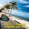 California Car Scents AC CS Ambientador Coche Palmera Papel 4UDS