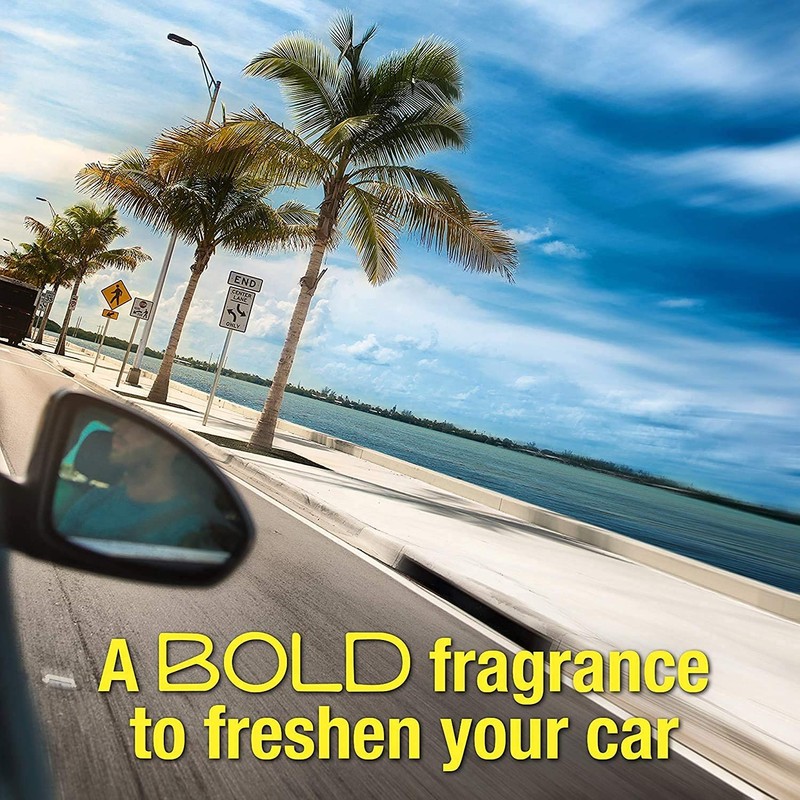 California Car Scents AC CS Ambientador Coche Palmera Papel 4UDS