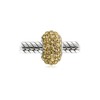 Sterling Silver Gold Tone Crystal Bead Charm