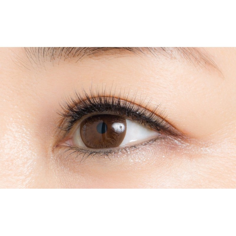 dyi-appu Eyelash rassyubo-te 06 Adult Girly