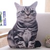 Maomoto Cat Shaped Plush Throw Pillow, 50 cm, 3D Simulation