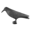 KCT Crow Decoy Full Bodied Realistic Hunting Prop and Bird