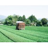 Miyazaki Prefecture Rokuuruka Farm JGAP Hojicha Tea Bag 7.1 oz
