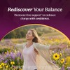 Perimenopause Support Supplement for Women – Hormonal Balance, Hot Flash