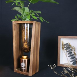 ChoiHeiy Plant Urn with Hydroponics Glass Vase, Small Urns for Human Ashes Keepsake, Memorial Keepsake Urn for Human Ashes, Mini Urns for Human Ashes Keepsake, Small Urn for Ashes, Wooden Desk Decor