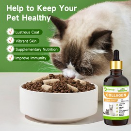 Liquid Collagen for Dogs, Daily Collagen for Dogs and Cats, Skin and Coat Supplement for Pet, Rich in Vitamin and Biotin (100ml)