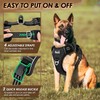 Eyein No Pull Dog Harness Medium, Comfortable Heavy Duty Pet