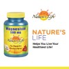 Nature's Life Super D-3 4000 IU | High Potency Vitamin