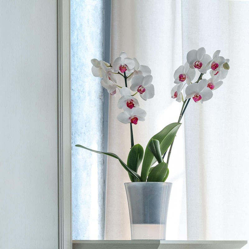 Santino Set of 2 Transparent Orchid Pots with Self-Watering Wick