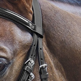 Waldhausen Star Bridle Basic Warmblood Black