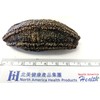 Arctic Dried Sea Cucumber (25)