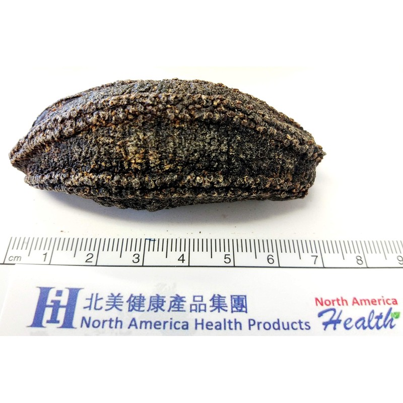 Arctic Dried Sea Cucumber (25)