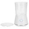 Facial Mask Machine DIY Natural Fruit Vegetable Facial Mask Making