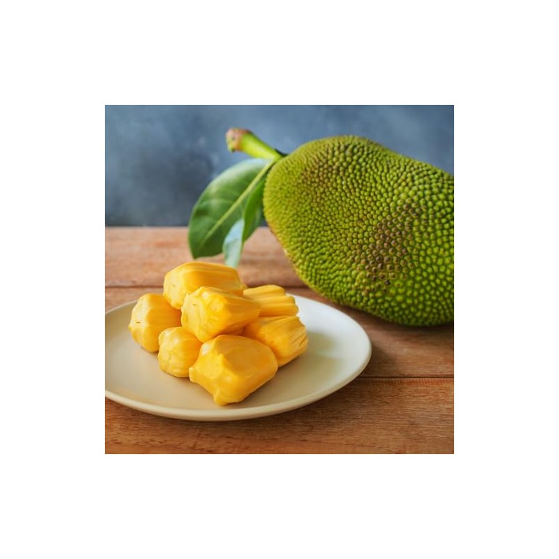 Aroy-D Toddy Palms Seed and Jackfruit In Syrup - 20oz