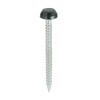 Black 30mm Poly Top Pins (Pack of 50) UPVC Nails
