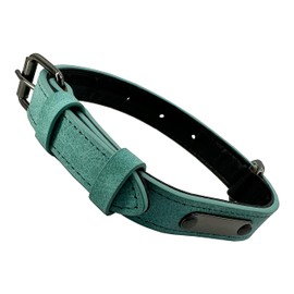 Adjustable Dog Collar, Simple, Robust, Weather-Resistant for Puppies, Small, Medium, Large Dogs, Classic Dog Collar (M: 2.5 cm Wide for 39 cm - 49 cm Neck, Green)