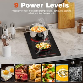 Hobsir hob 2 Burners Electric Cooktop, 12 inch Radiant Electric Stove Top, Built-in Electric Ceramic Stove with Sliding Control, Timer, Safety Lock, 9 Power Levels 3200W, 220V-240V Hard Wire (No Plug)