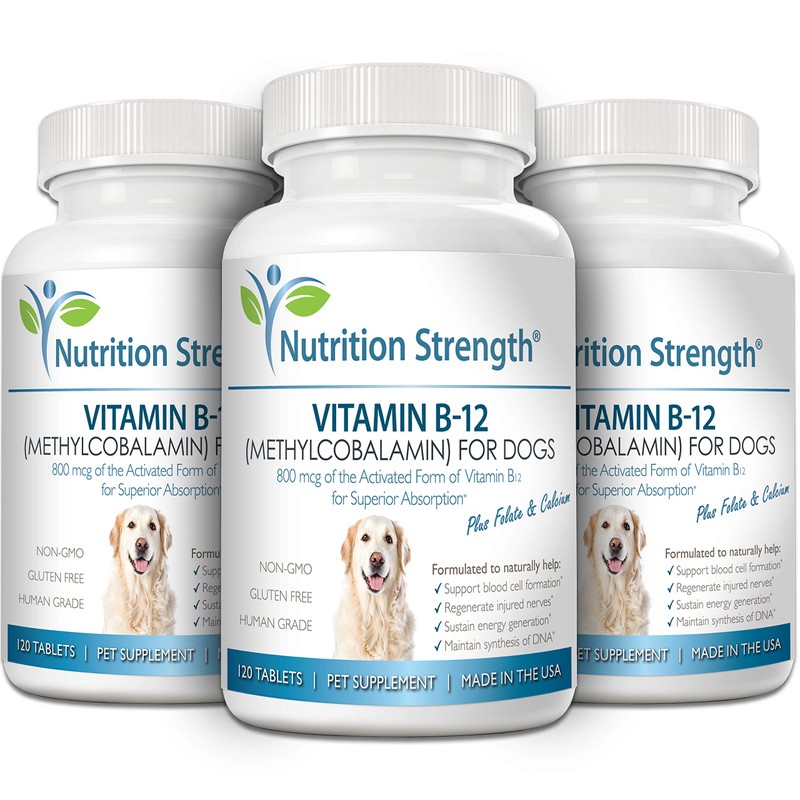 Nutrition Strength Vitamin B12 for Dogs Plus Folate & Calcium,