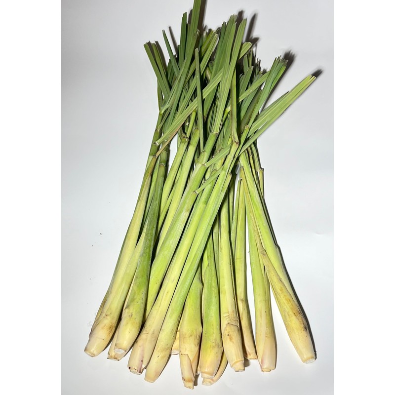 Lemon Grass Stalks, Freshly Harvested, 10 Count, For Thai Cooking