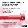 Autobahn88 Motorcycle Engine Bolt Dress-up Kit, compatible with Suzuki B-King