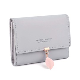 RRANCharltu Women's Leather Purse Small Purse Women's Small Purse with Zip Coin Compartment Mini Purse with Many Compartments, gray, Classic