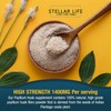 240 X Psyllium Husks Fibre Supplement – 1400mg per Serving